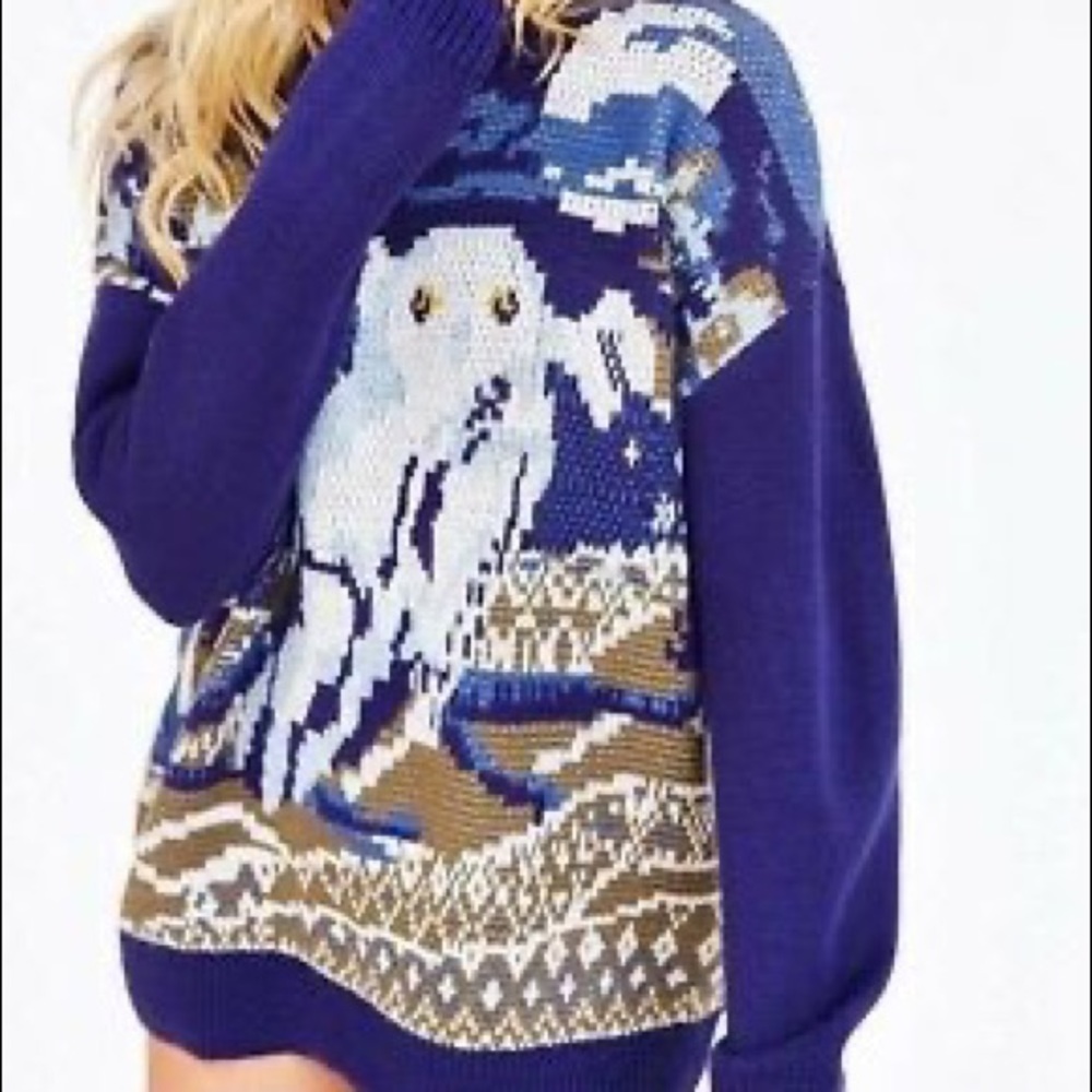 Urban Outfitter Owl Sweater 🦉